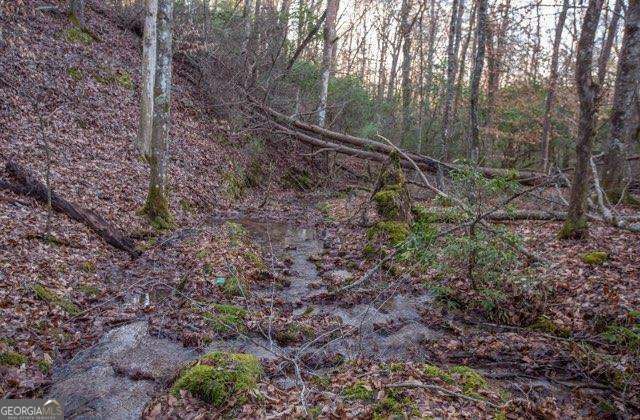 19.25 AC Old Hwy 76, Morganton, GA 30560