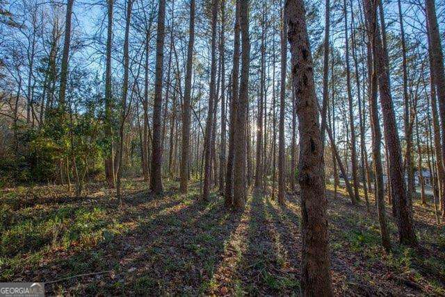 19.25 AC Old Hwy 76, Morganton, GA 30560