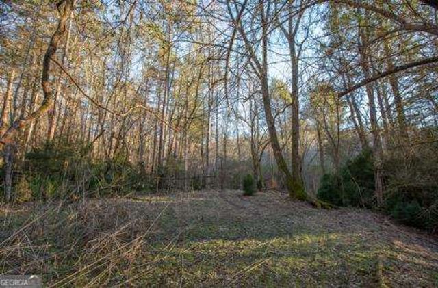 19.25 AC Old Hwy 76, Morganton, GA 30560