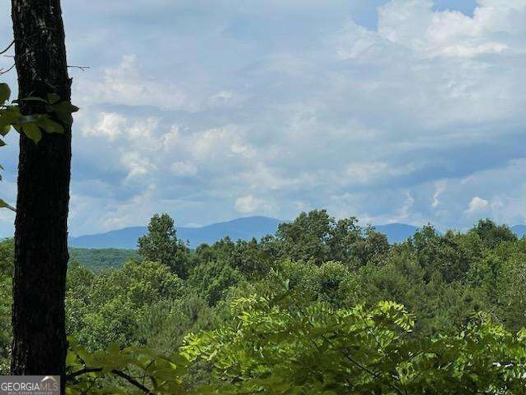 19.25 AC Old Hwy 76, Morganton, GA 30560