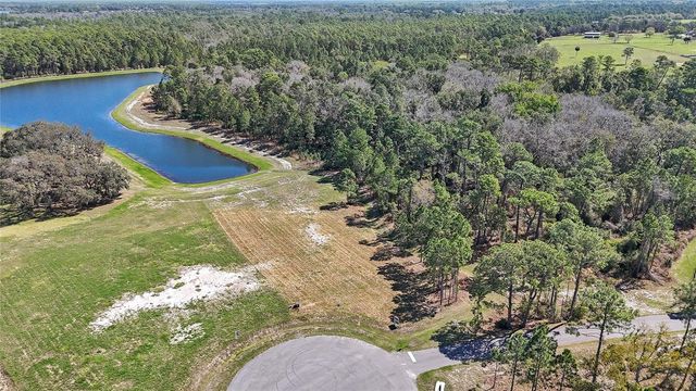 20280 SHORELINE RANCH LANE, Umatilla, FL 32784