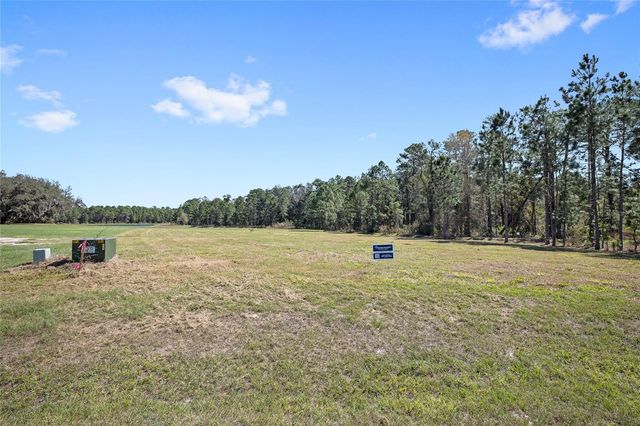 20280 SHORELINE RANCH LANE, Umatilla, FL 32784
