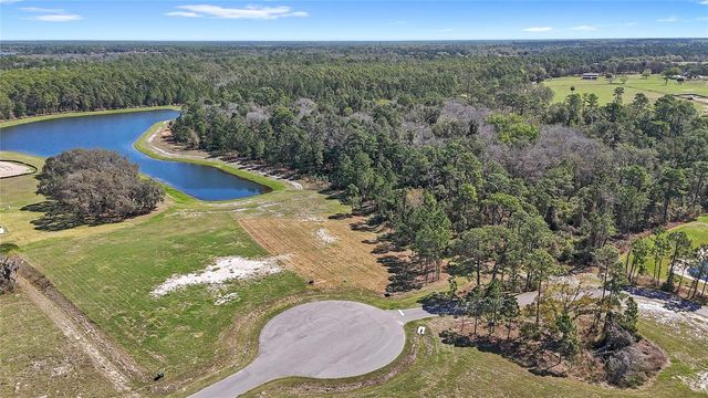 20280 SHORELINE RANCH LANE, Umatilla, FL 32784