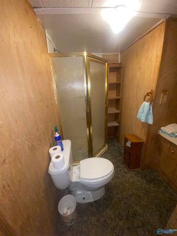 383 Section Mountain Road, Somerville, AL 35670