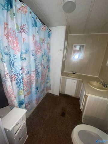 383 Section Mountain Road, Somerville, AL 35670