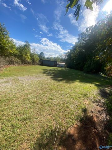 383 Section Mountain Road, Somerville, AL 35670