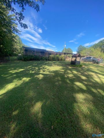 383 Section Mountain Road, Somerville, AL 35670