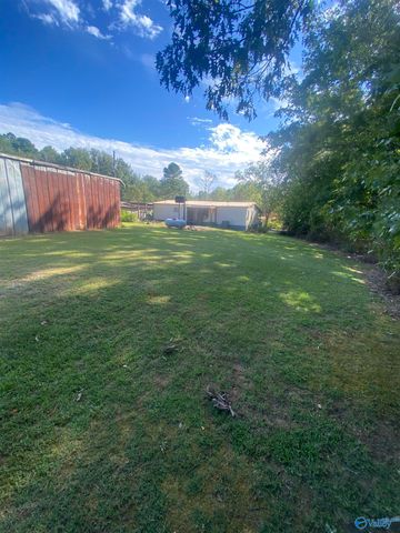 383 Section Mountain Road, Somerville, AL 35670