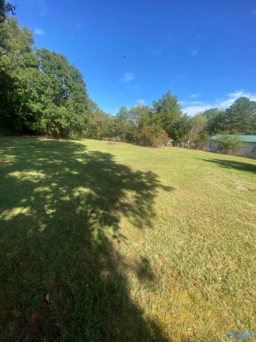 383 Section Mountain Road, Somerville, AL 35670