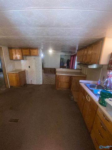 383 Section Mountain Road, Somerville, AL 35670