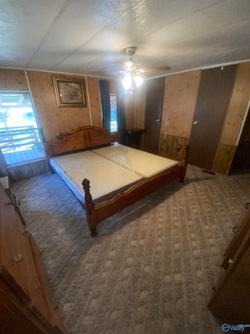 383 Section Mountain Road, Somerville, AL 35670