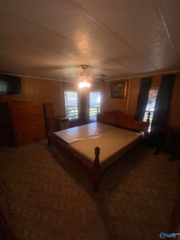 383 Section Mountain Road, Somerville, AL 35670