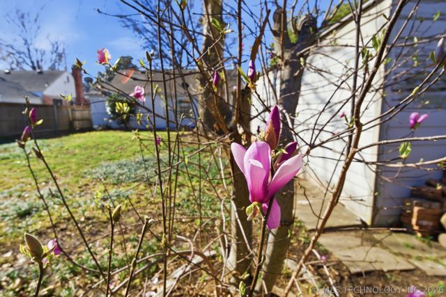 2511 E 17th Street, Tulsa, OK 74104