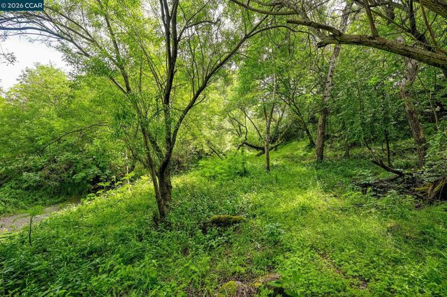 490 St Marys Rd, Lafayette, CA 94549