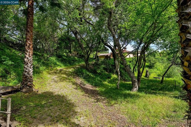 490 St Marys Rd, Lafayette, CA 94549