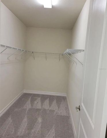 3231 PAINTED BLOSSOM COURT, Lutz, FL 33558