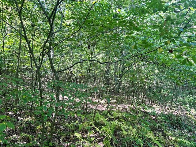 9100 Post Road SE, Jewett, OH 43986