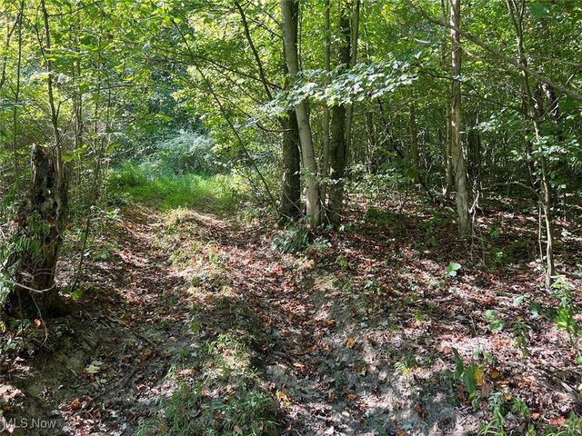 9100 Post Road SE, Jewett, OH 43986