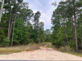 799 Osage Drive, Defuniak Springs, FL 32433