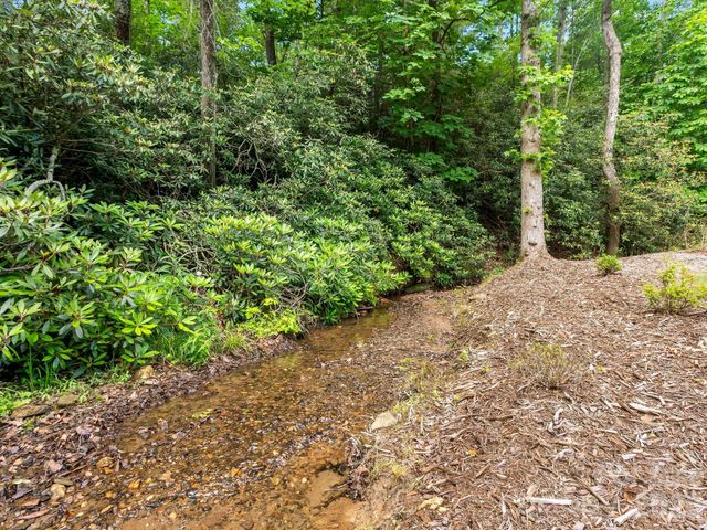 80 Highlander Falls Way, Zirconia, NC 28790