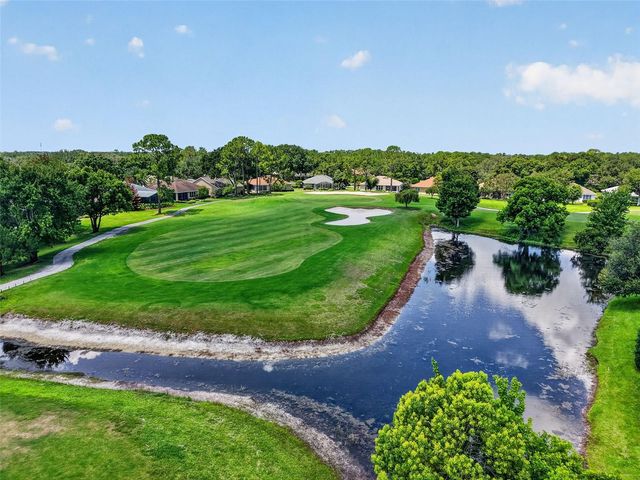 8059 LAUREL RIDGE DRIVE, Mount Dora, FL 32757