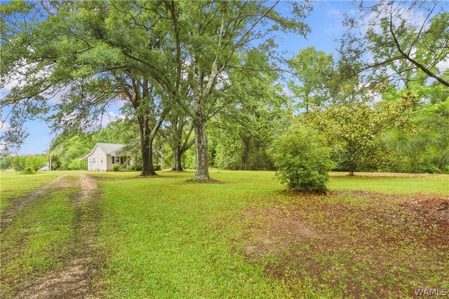 12807 Northside, Northport, AL 35475