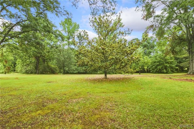 12807 Northside, Northport, AL 35475