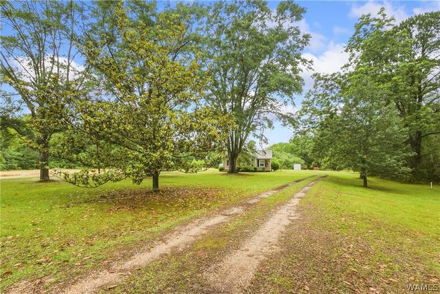 12807 Northside, Northport, AL 35475