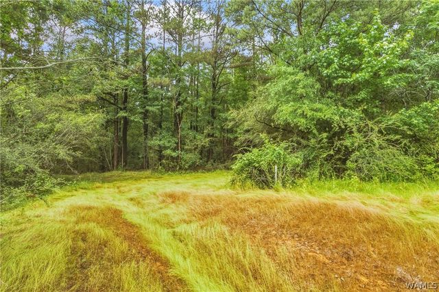 12807 Northside, Northport, AL 35475