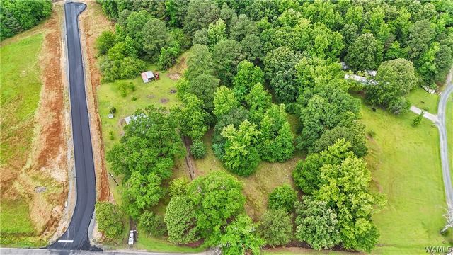 12807 Northside, Northport, AL 35475