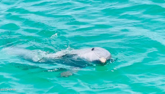 9312 Cool Breeze Drive, Panama City Beach, FL 32413