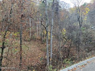 Pulaski Lane, Sevierville, TN 37862