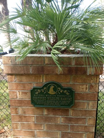 359 Green Street, Santee, SC 29142