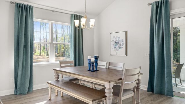 3025 Berry Bush Way, Conway, SC 29526