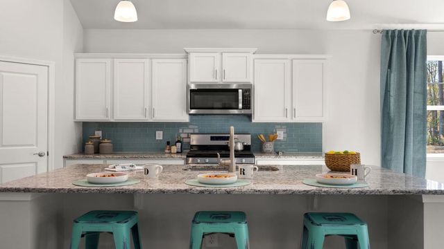 3025 Berry Bush Way, Conway, SC 29526