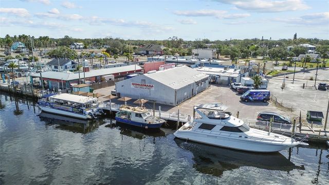 731 BRITTANY PARK BOULEVARD, Tarpon Springs, FL 34689