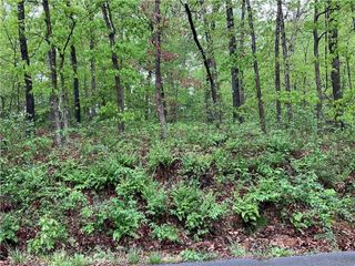 Sidlaw Hills Drive, Bella Vista, AR 72715