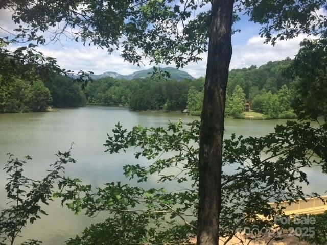 0 E Swans Way 262, Lake Lure, NC 28746