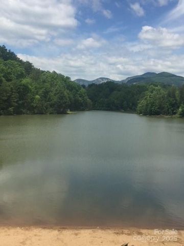 0 E Swans Way 262, Lake Lure, NC 28746