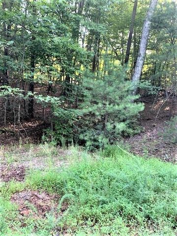 0 E Swans Way 262, Lake Lure, NC 28746