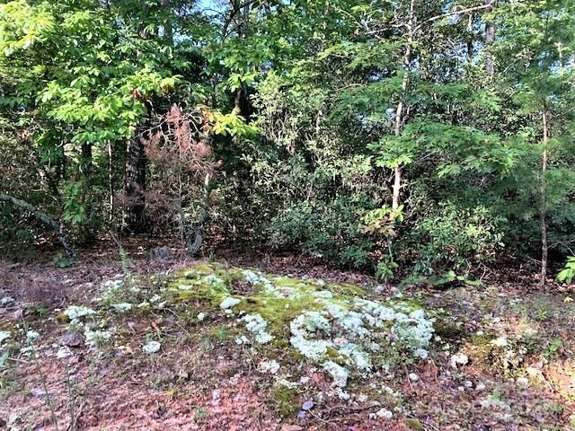 0 E Swans Way 262, Lake Lure, NC 28746