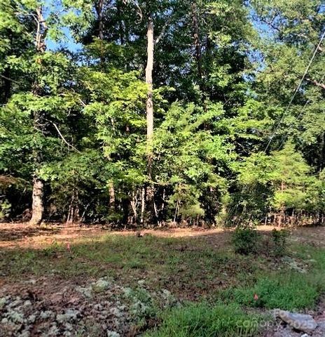 0 E Swans Way 262, Lake Lure, NC 28746