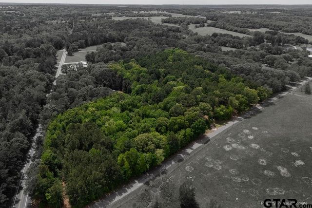 153 W CR 319, Tyler, TX 75706