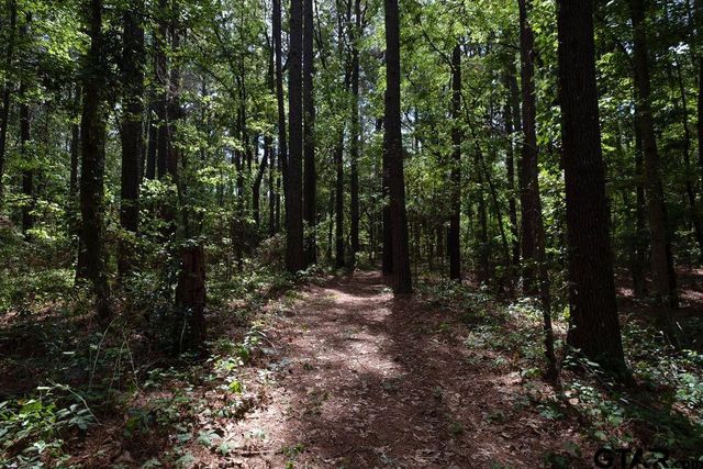 153 W CR 319, Tyler, TX 75706