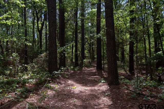 153 W CR 319, Tyler, TX 75706