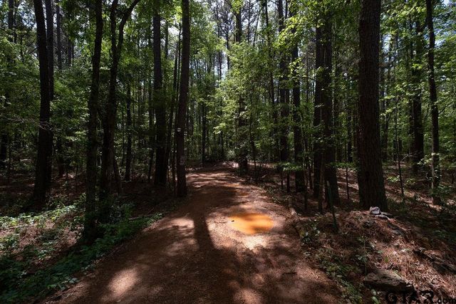 153 W CR 319, Tyler, TX 75706