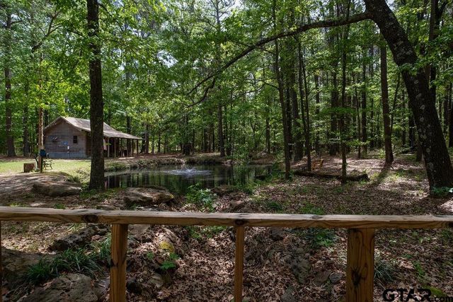 153 W CR 319, Tyler, TX 75706