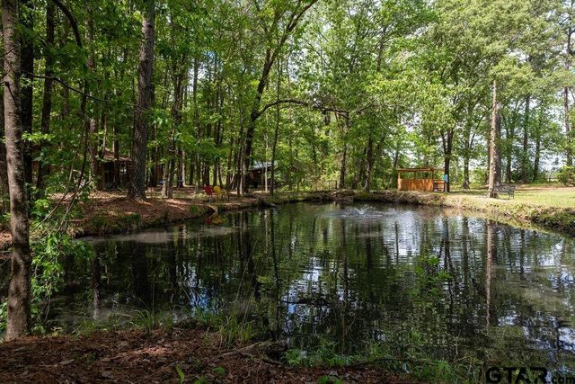 153 W CR 319, Tyler, TX 75706