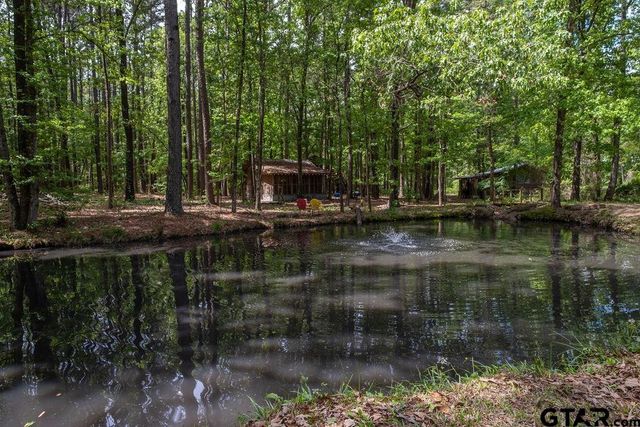 153 W CR 319, Tyler, TX 75706