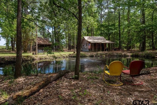 153 W CR 319, Tyler, TX 75706